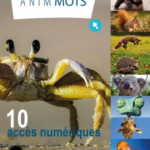 Anim'Mots : 10 accès numériques