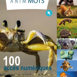 Anim'Mots : 100 accès numériques