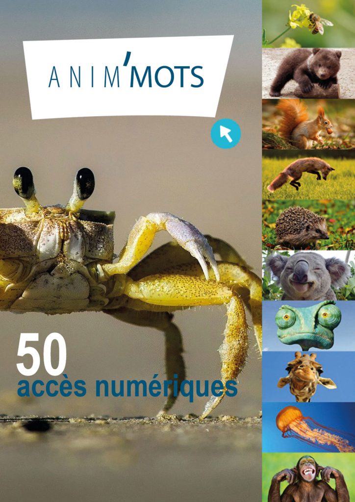 Anim'Mots : 50 accès numériques